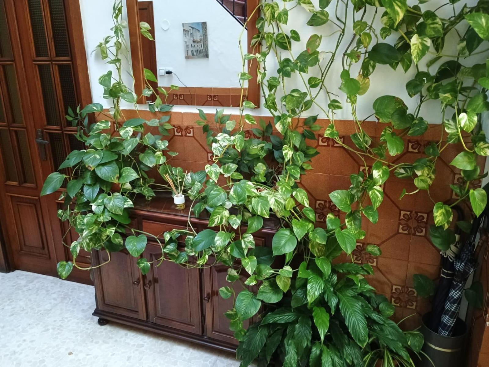 Casa Matbel Apartment Kordoba Bagian luar foto